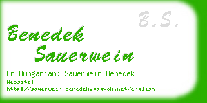 benedek sauerwein business card